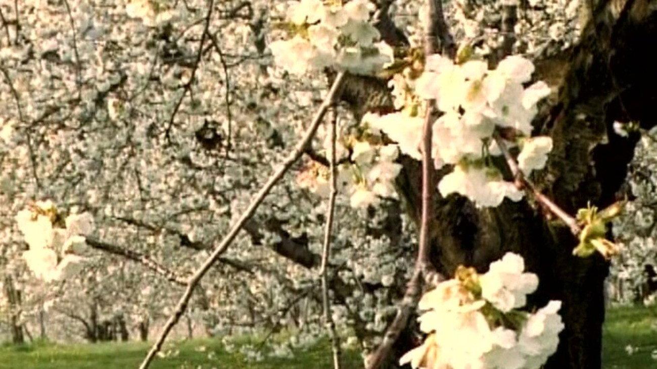 Tender Presence 2004 movie scene