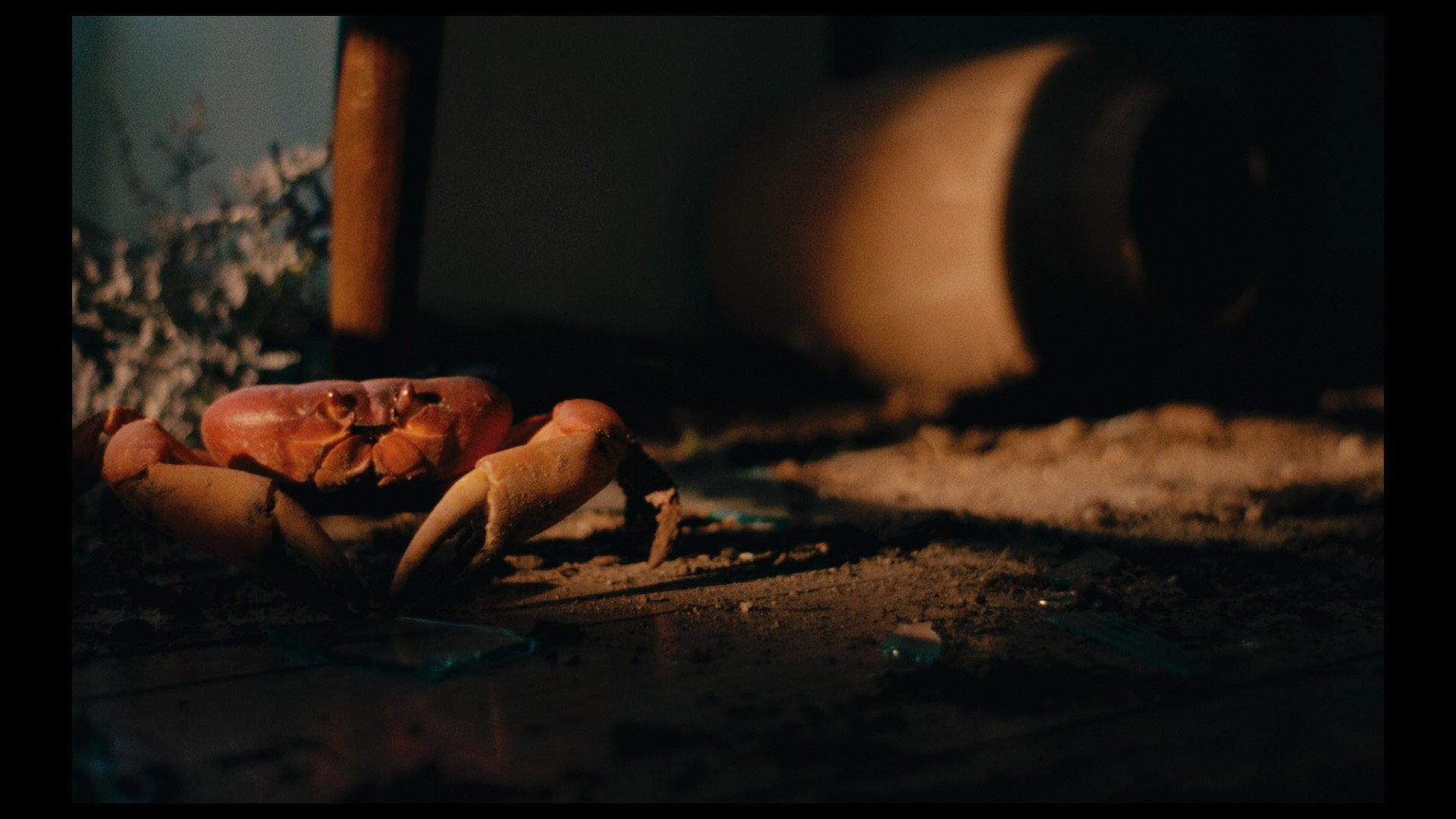 Crabs in the Air 2025 movie scene