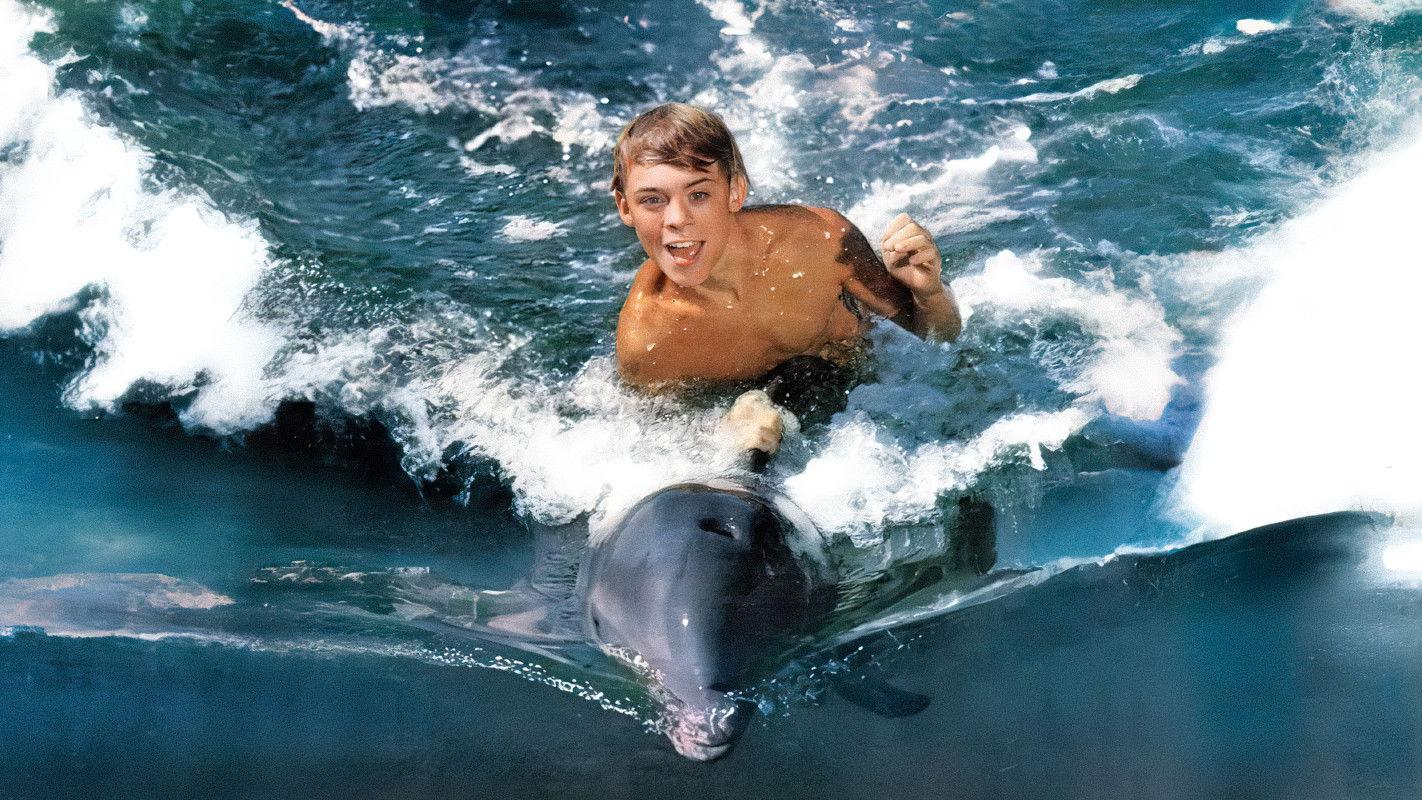 Flipper 1963 movie scene