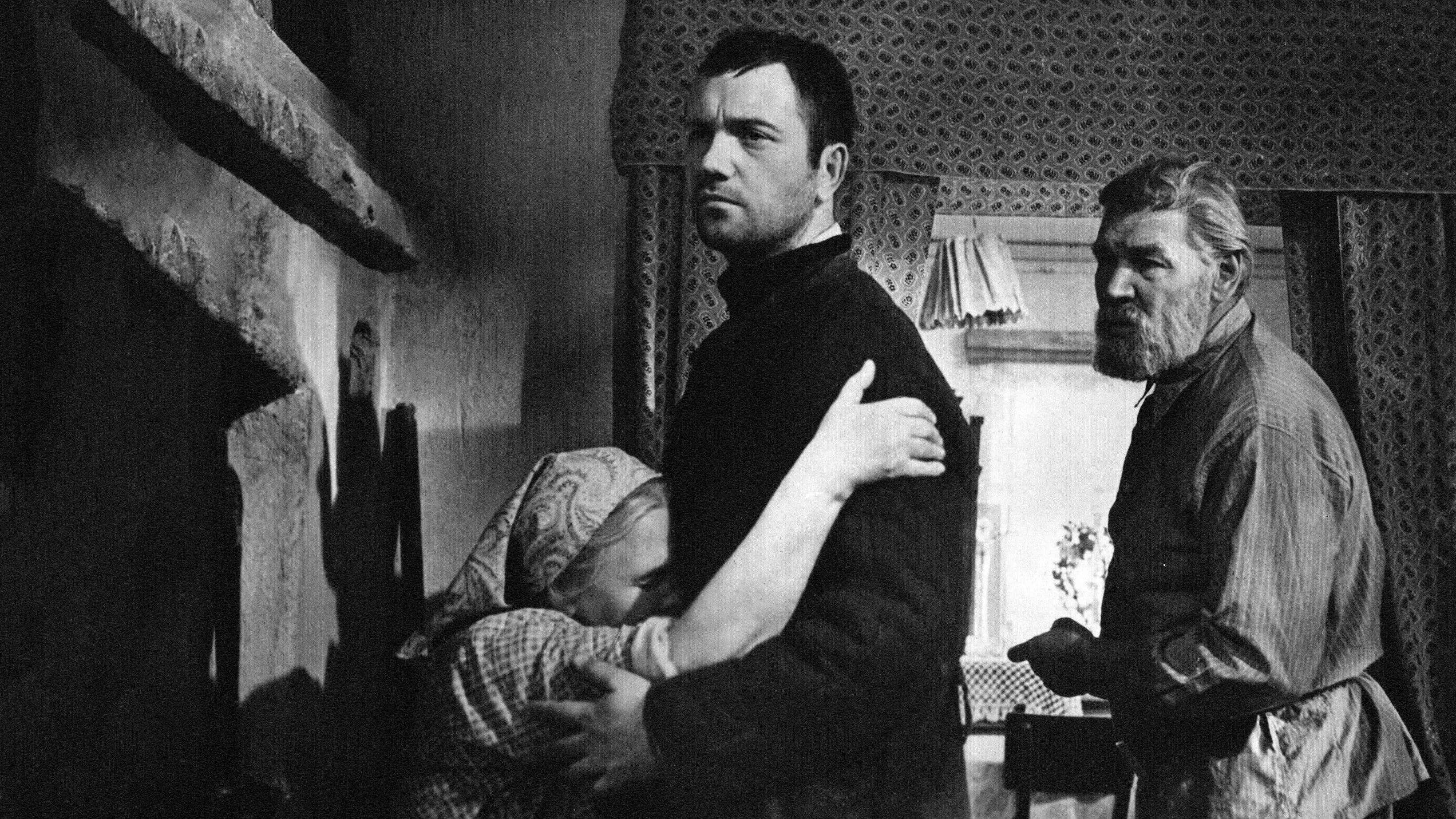 Your Son and Brother 1966 movie scene