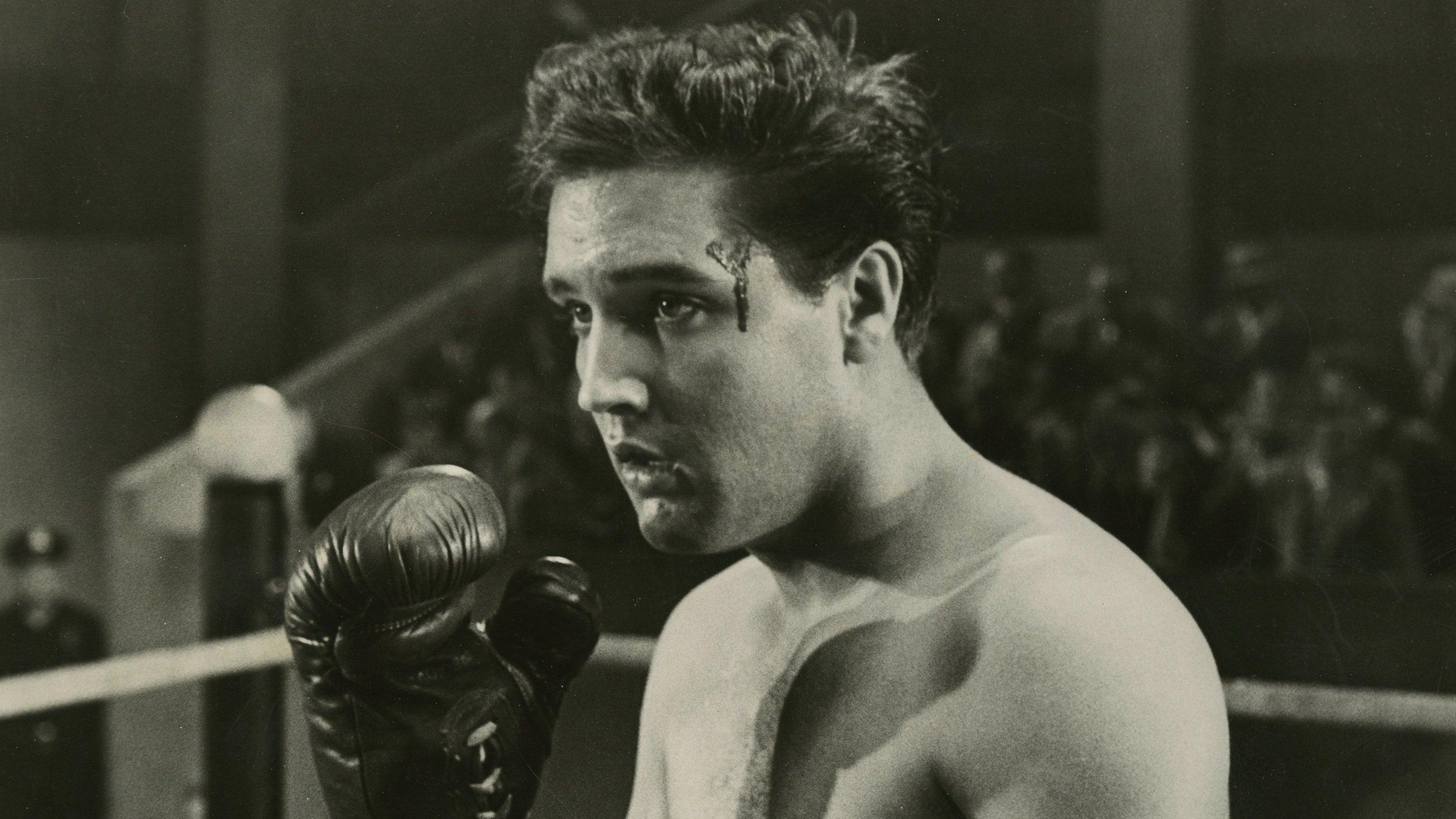 Kid Galahad 1962 movie scene