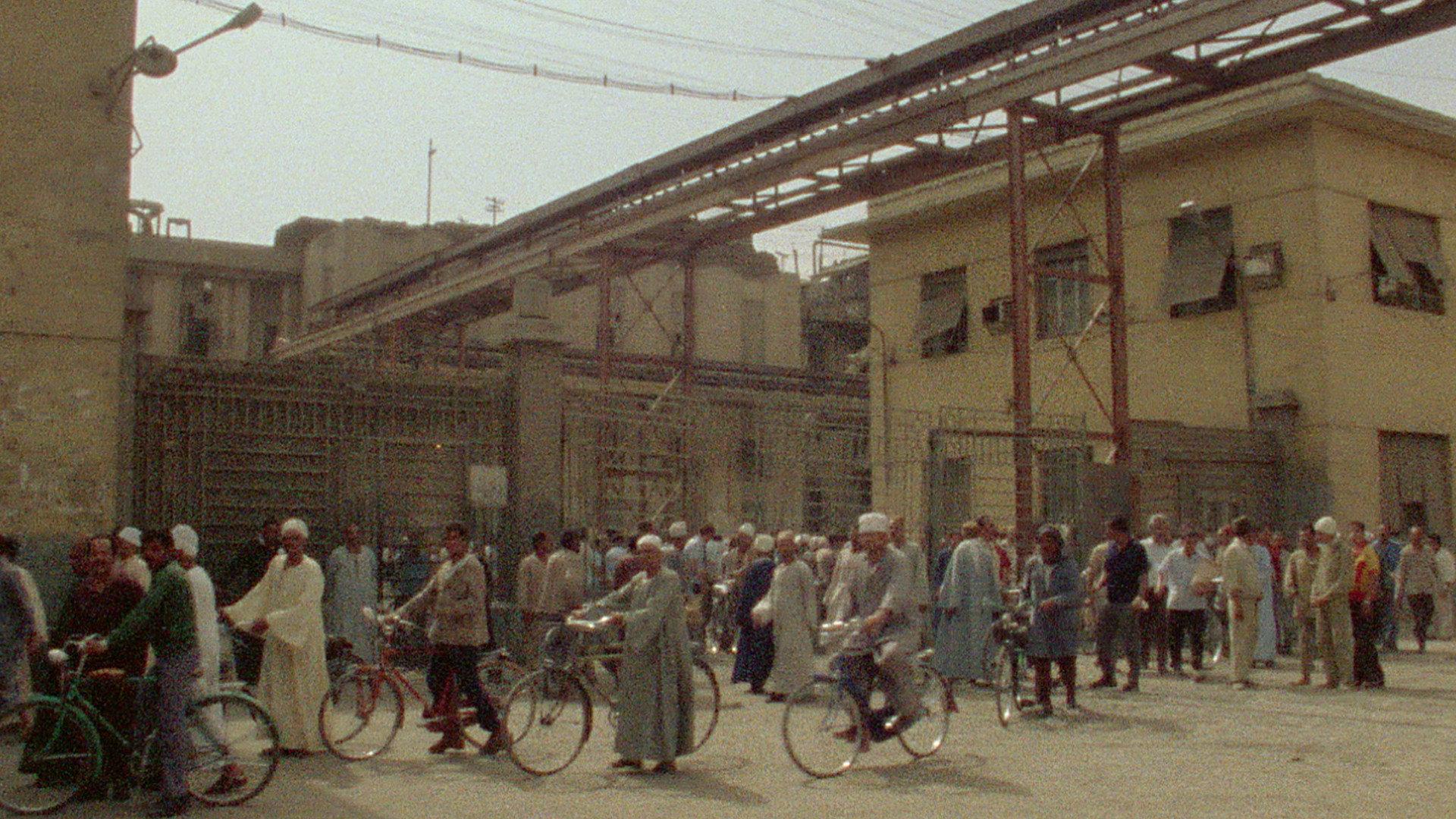Too Early / Too Late 1982 movie scene