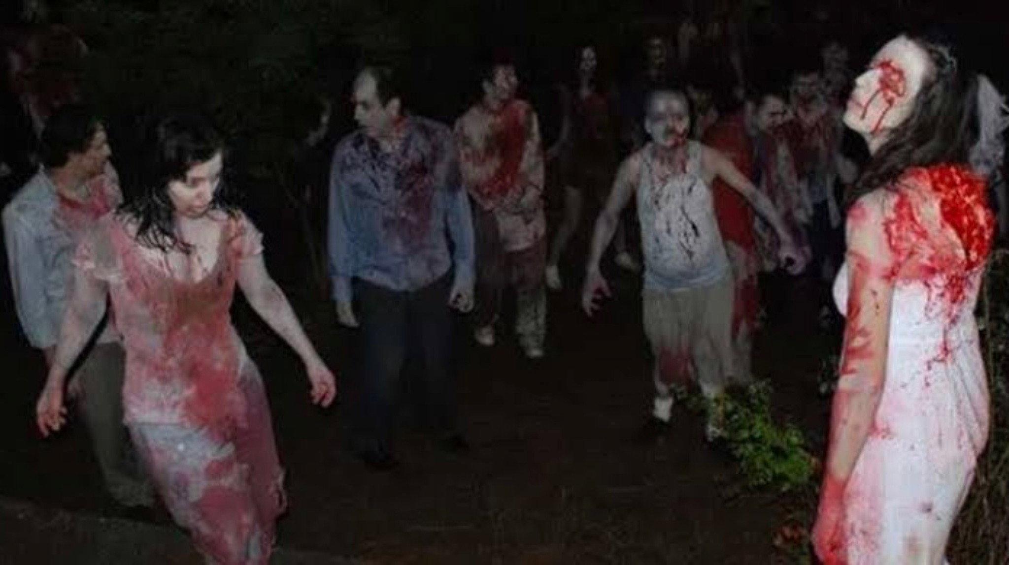 Island: Wedding of the Zombies 2010 movie scene