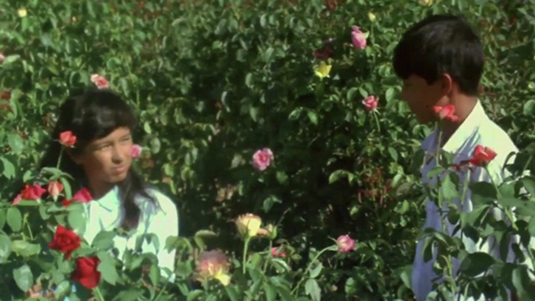 Butterfly and Flowers 1985 movie scene