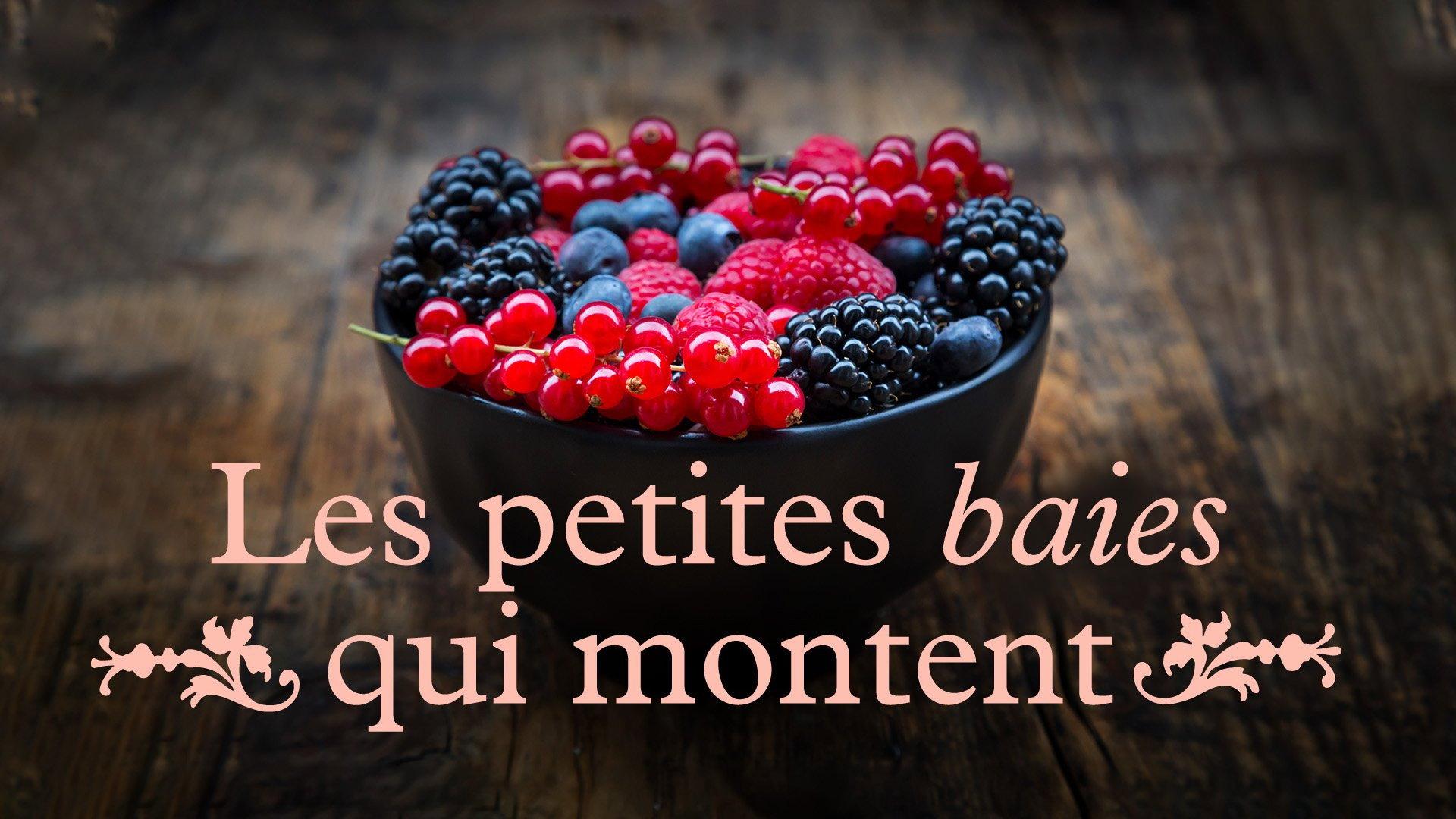 Les petites baies qui montent 2021 movie scene