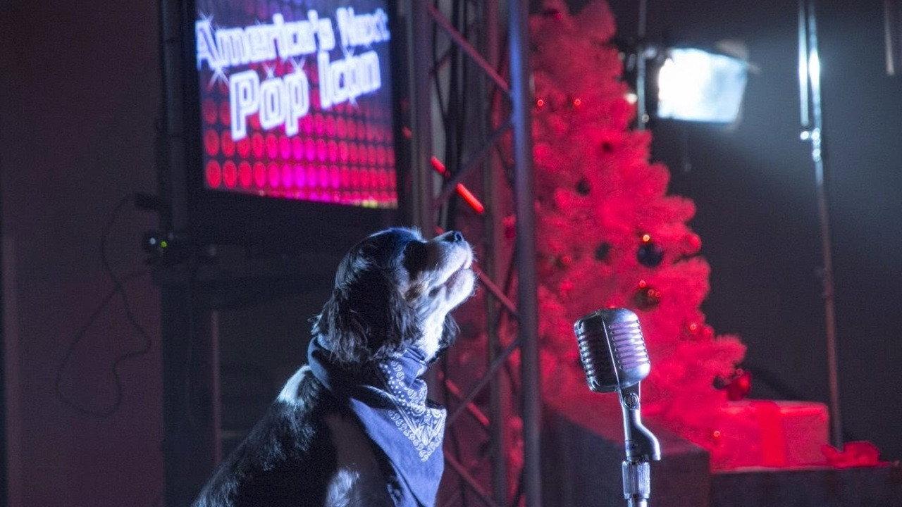 Pop Star Puppy 2014 movie scene