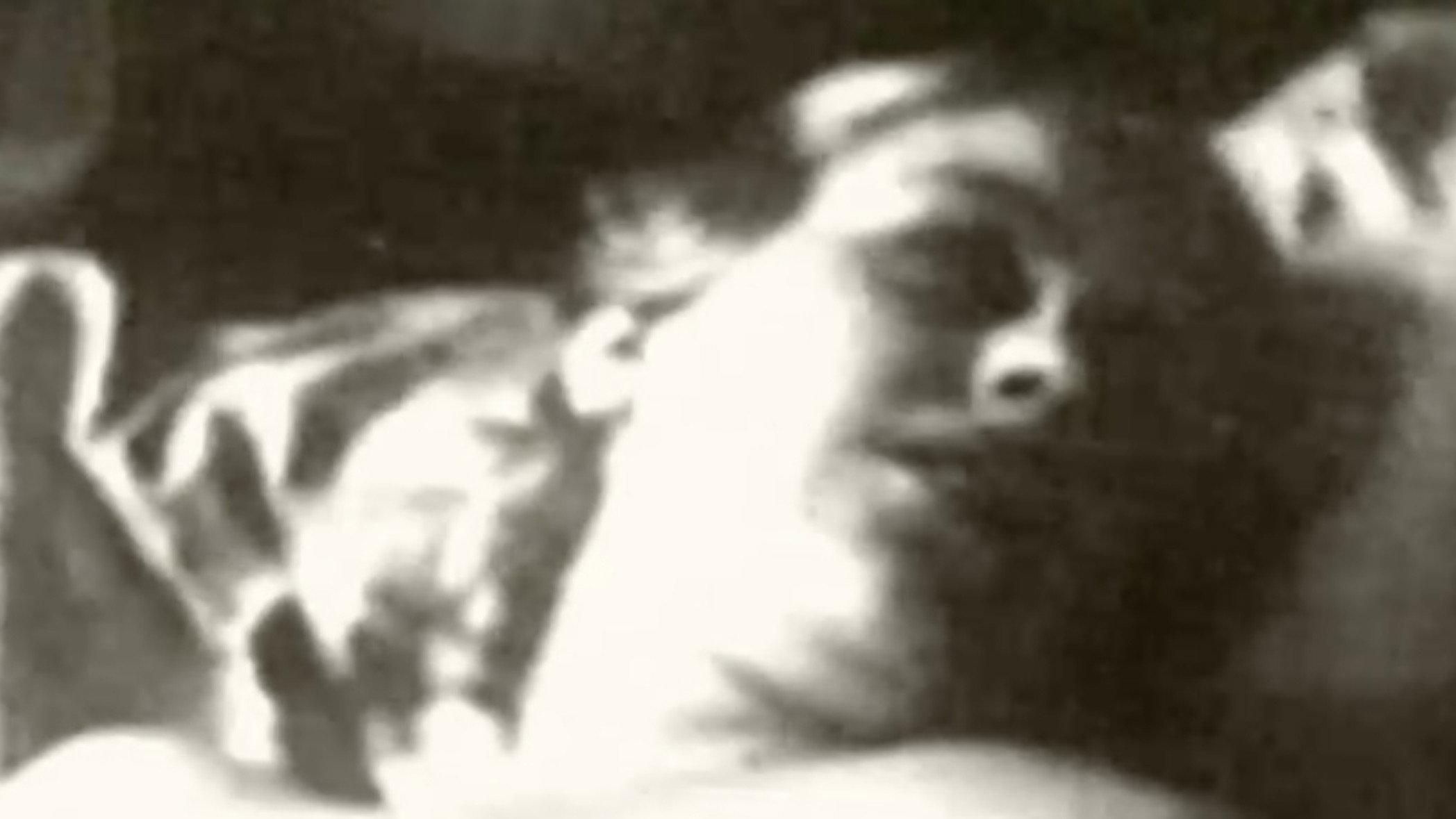 The Busy Lesbian Club 1934 movie scene