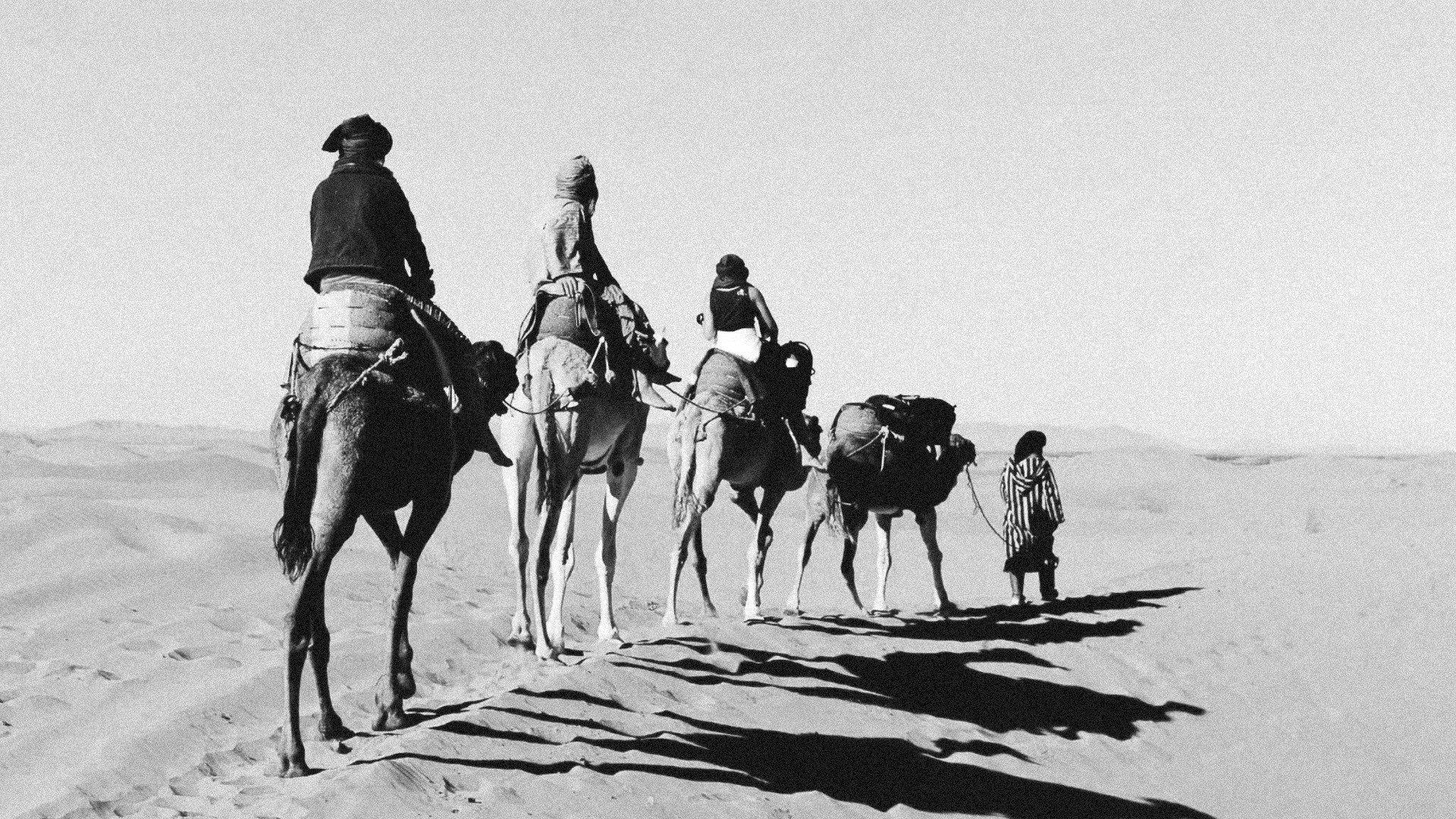 Guns of Freedom 1961 movie scene