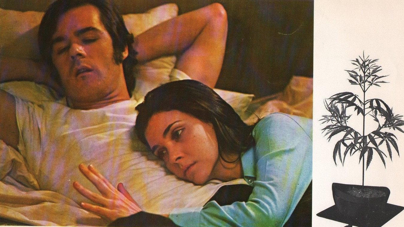 Dealing: Or the Berkeley-to-Boston Forty-Brick Lost-Bag Blues 1972 movie scene