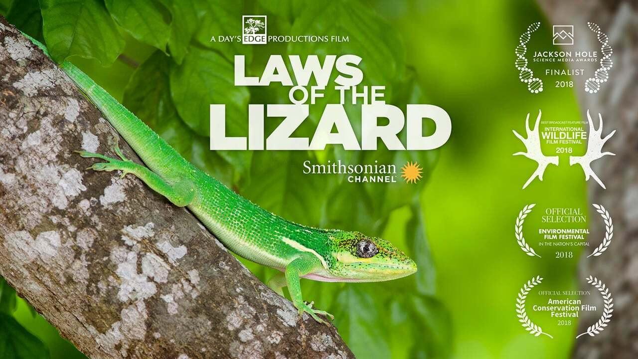 Laws of the Lizard 2017 movie scene