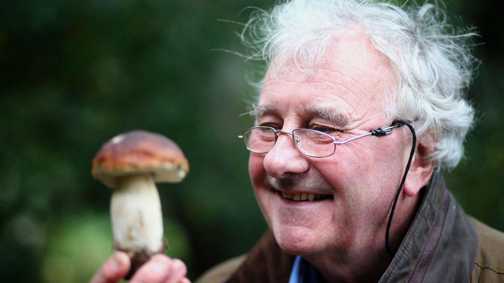 The Magic of Mushrooms 2014 movie scene