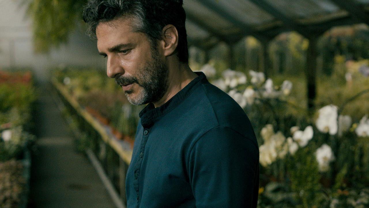 The Silence of the Sky 2016 movie scene
