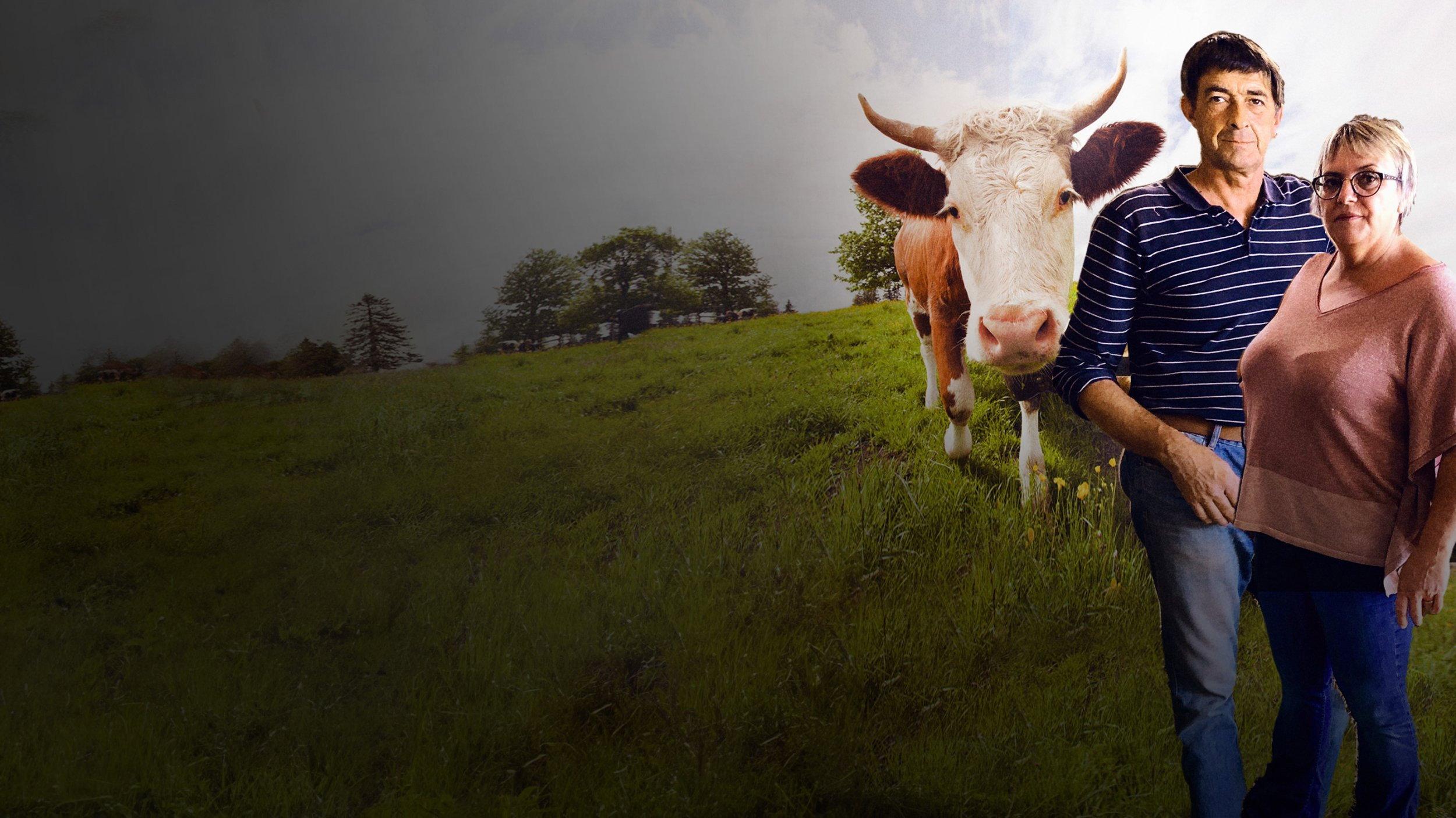 L'Amour vache 2023 movie scene