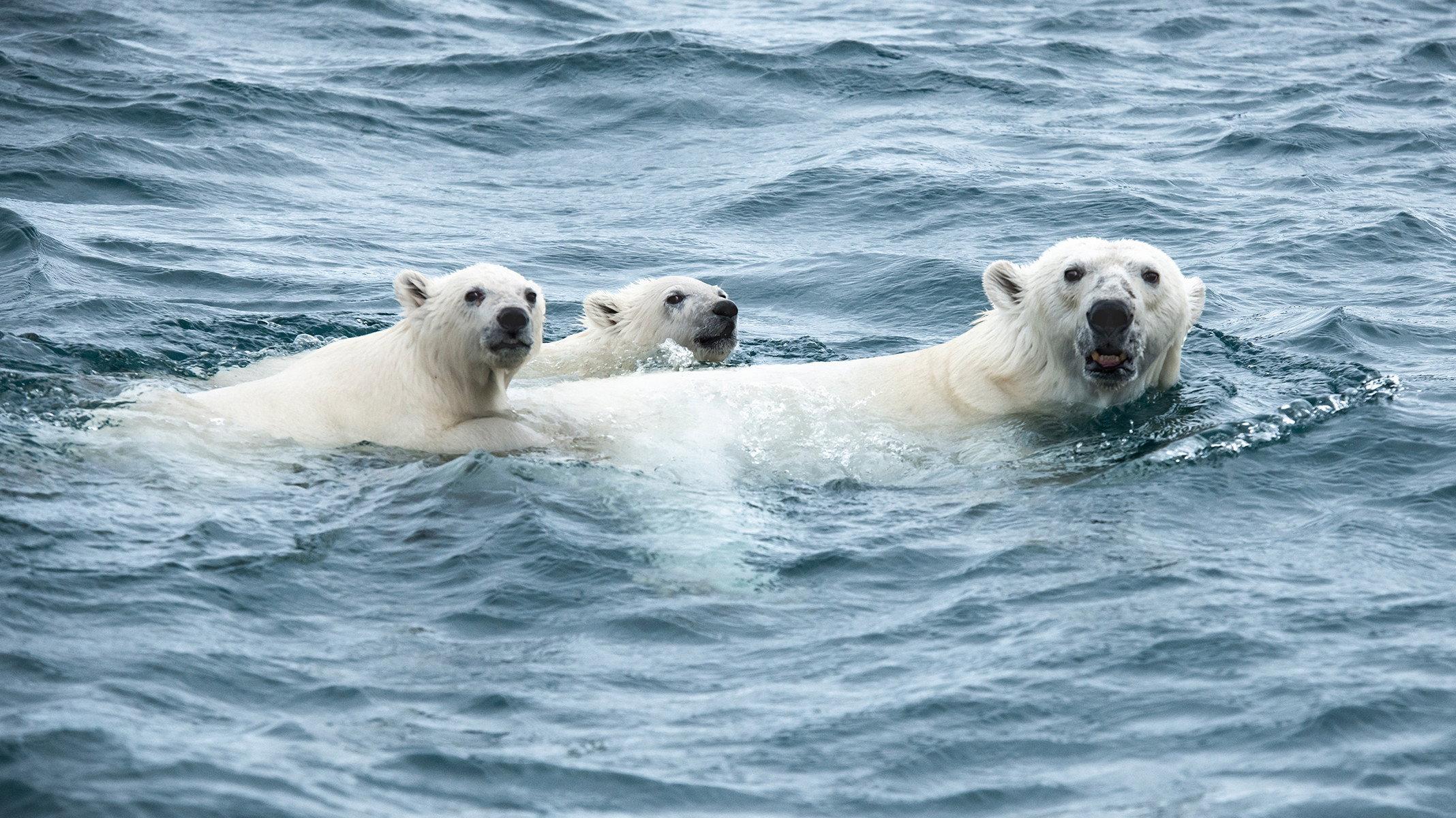 Under Thin Ice 2019 movie scene