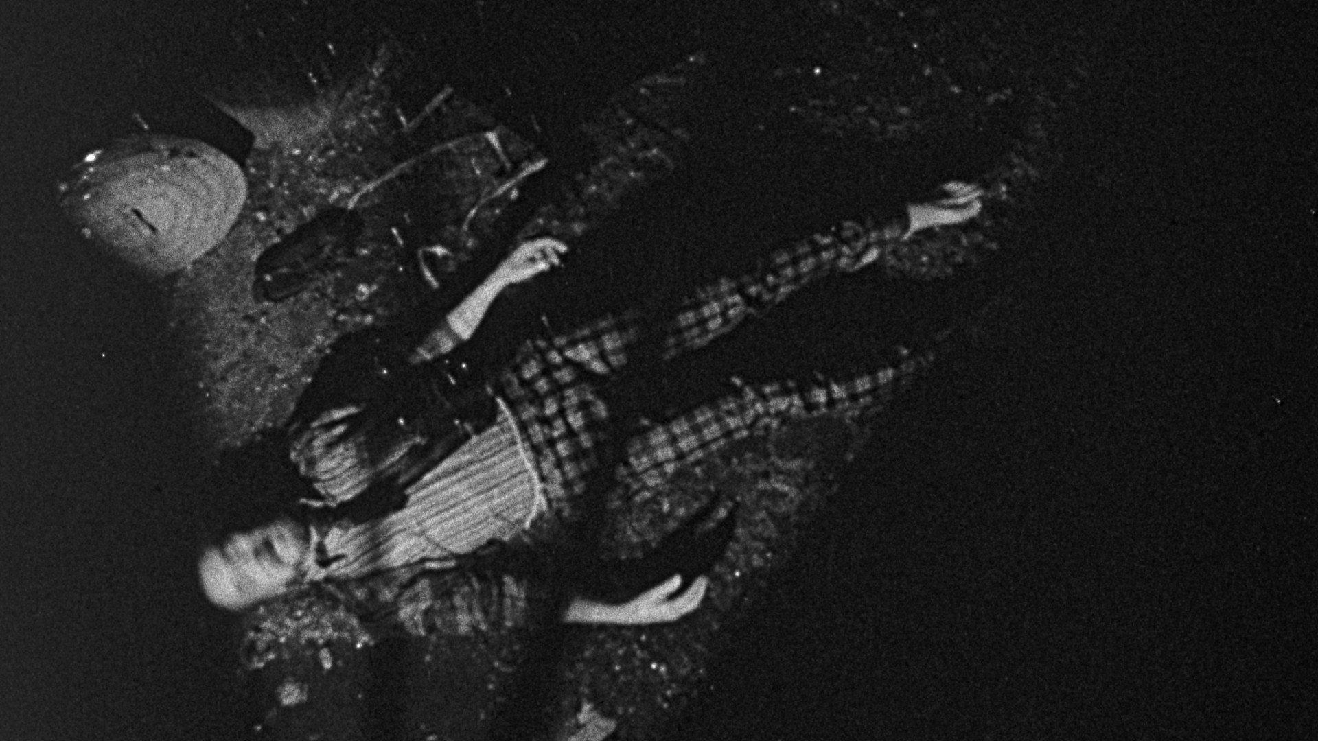 Bugs Without Morals movie scene