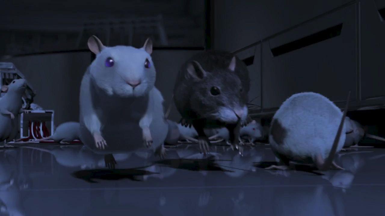 One Rat Short 2006 movie scene