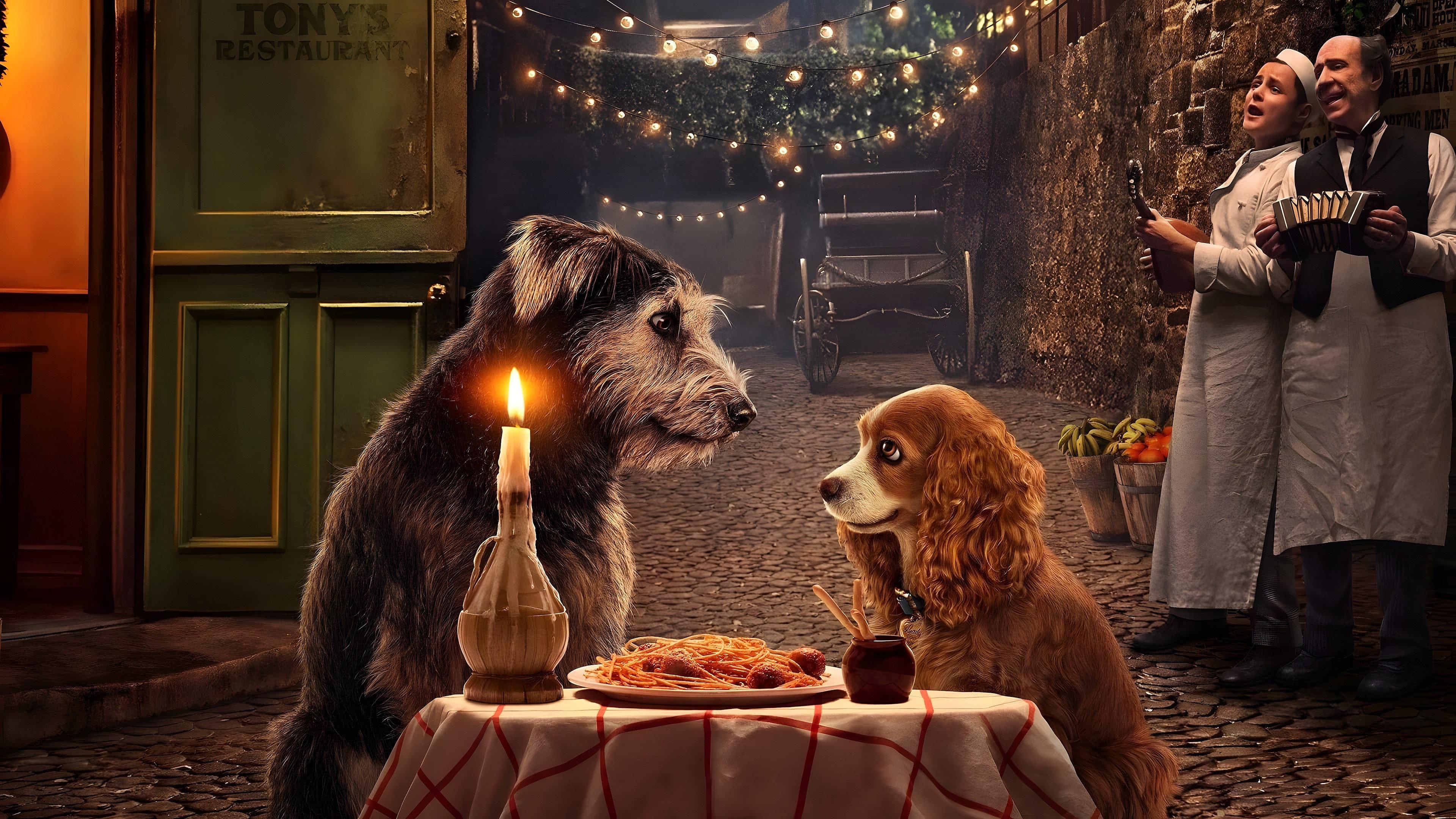 Lady and the Tramp 2019 movie scene