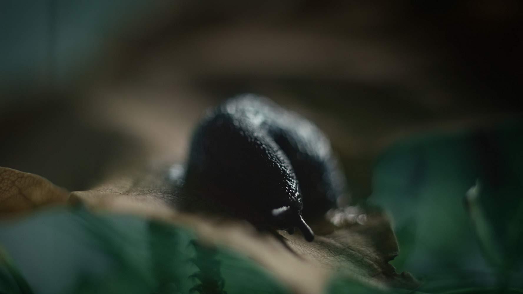 The Psychonaut 2015 movie scene