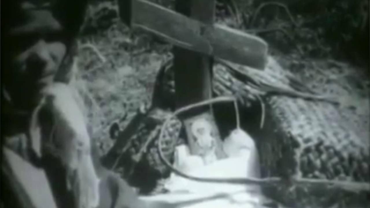 In the Bryansk Polesie 1930 movie scene