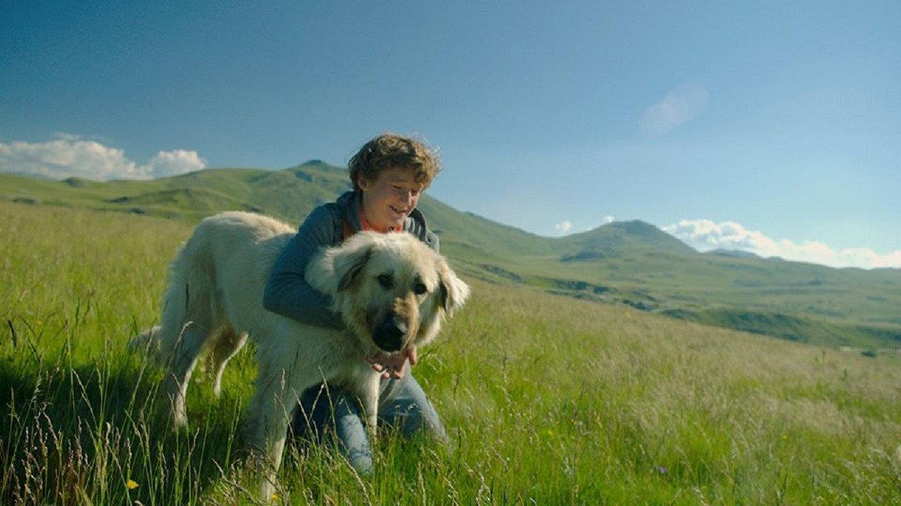 Stela 2020 movie scene