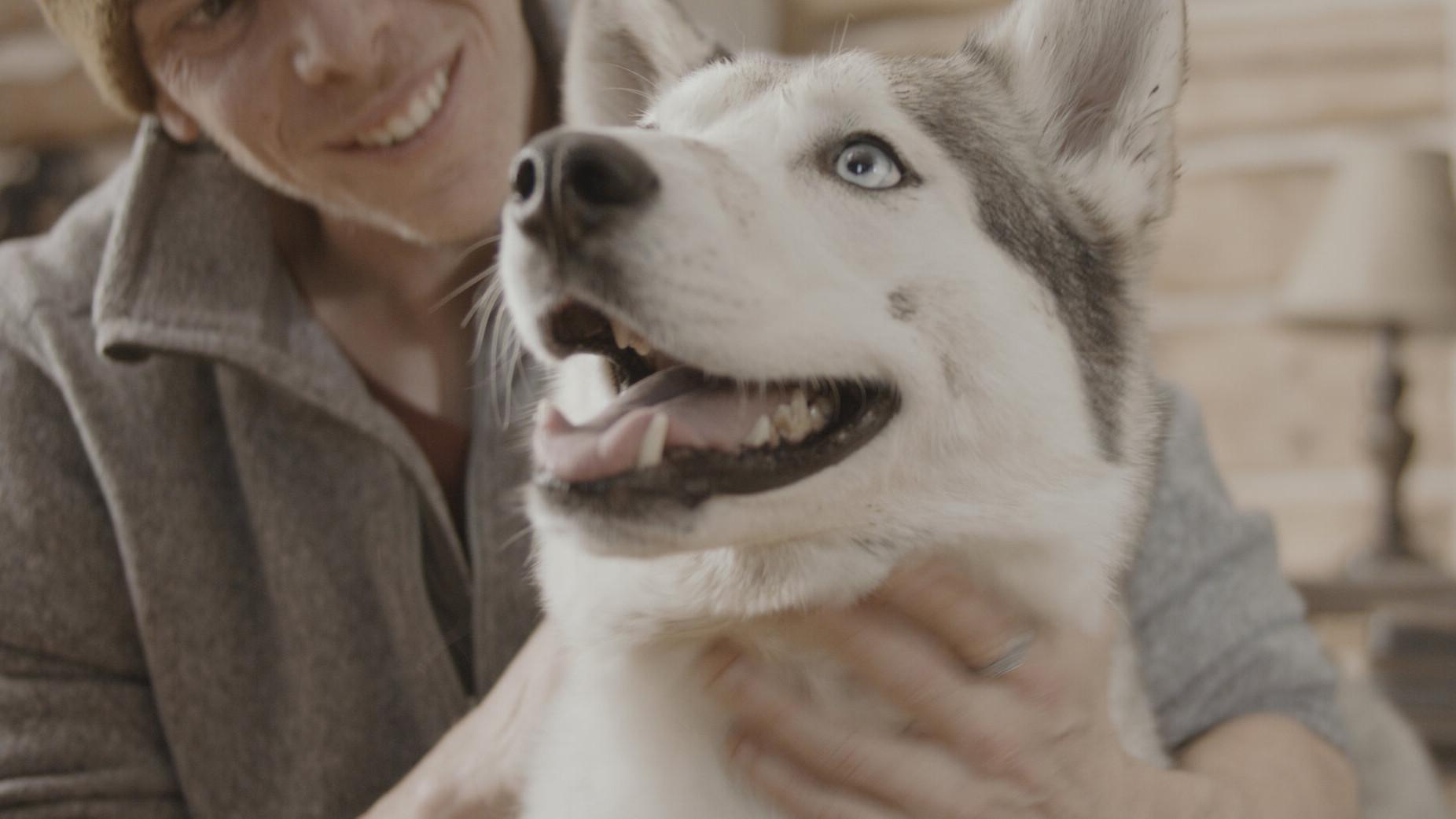 The Year of the Dog 2022 movie scene