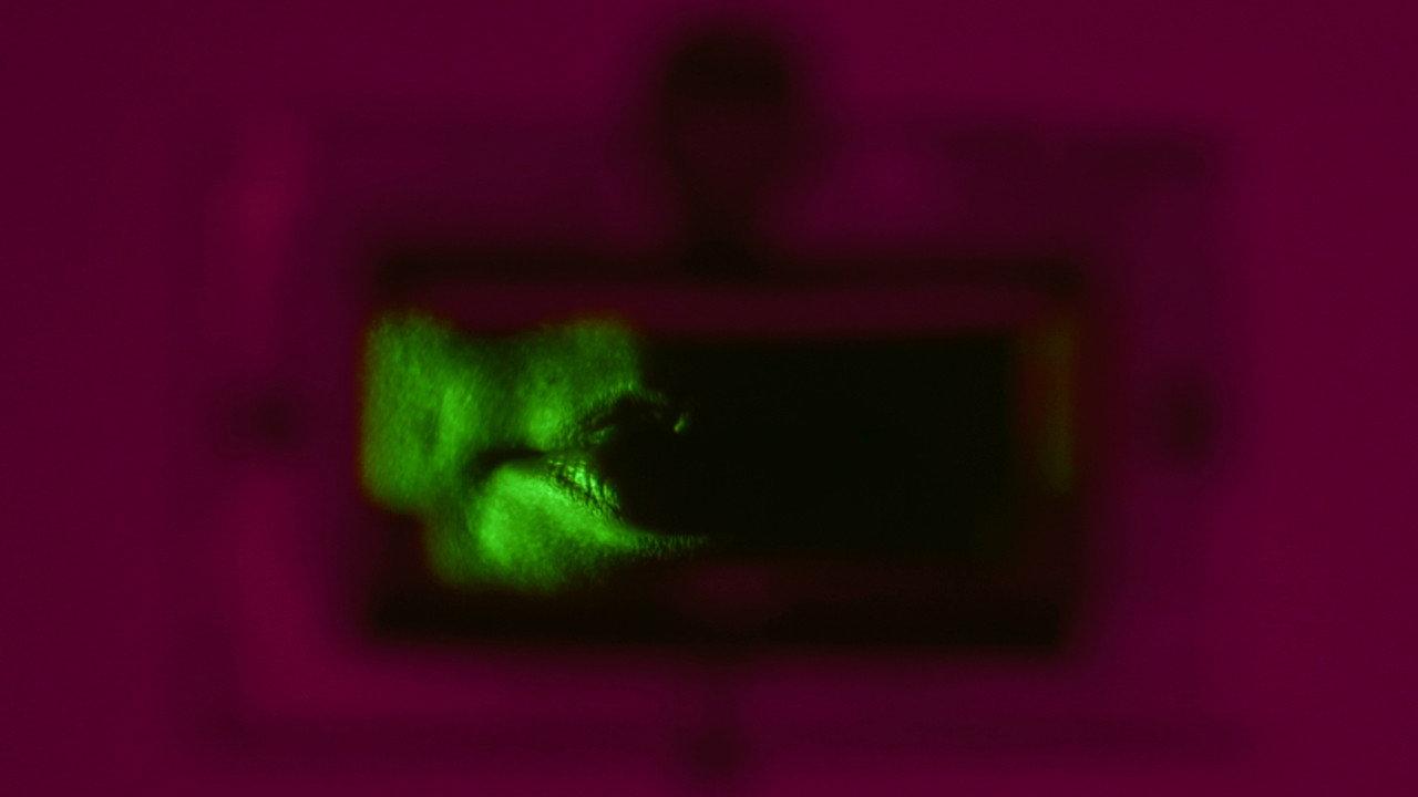 Instituto Zebechristha 2017 movie scene