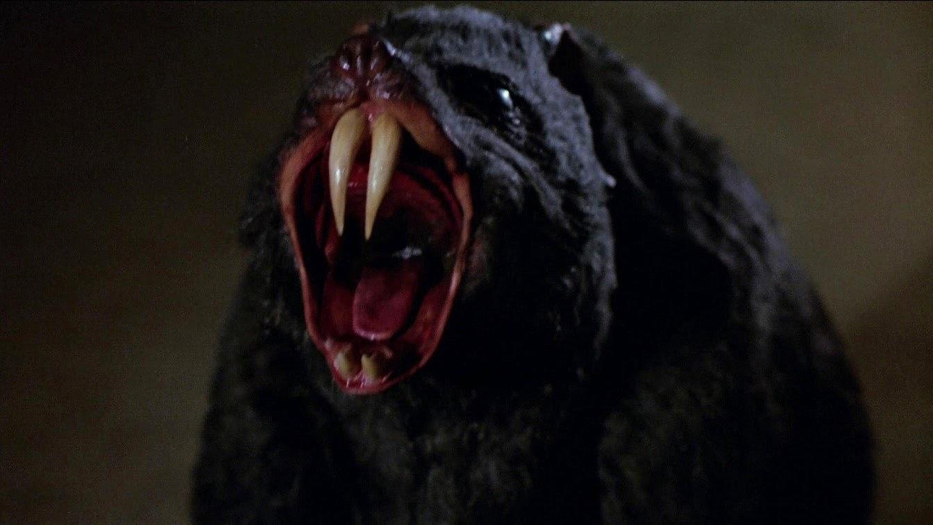 Deadly Eyes 1982 movie scene