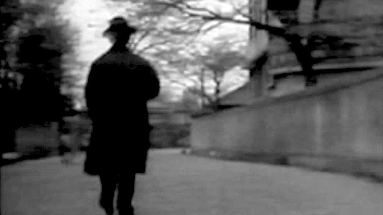 12 Photographers 1955 movie scene