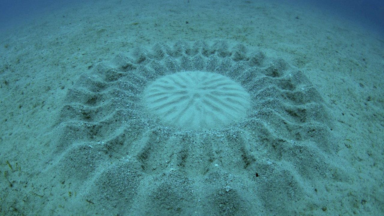 The Mystery of the Med Rings 2025 movie scene