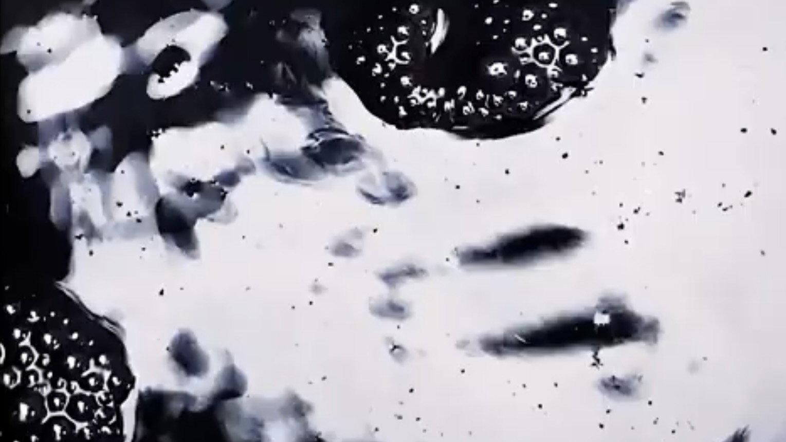 Fluids 2022 movie scene