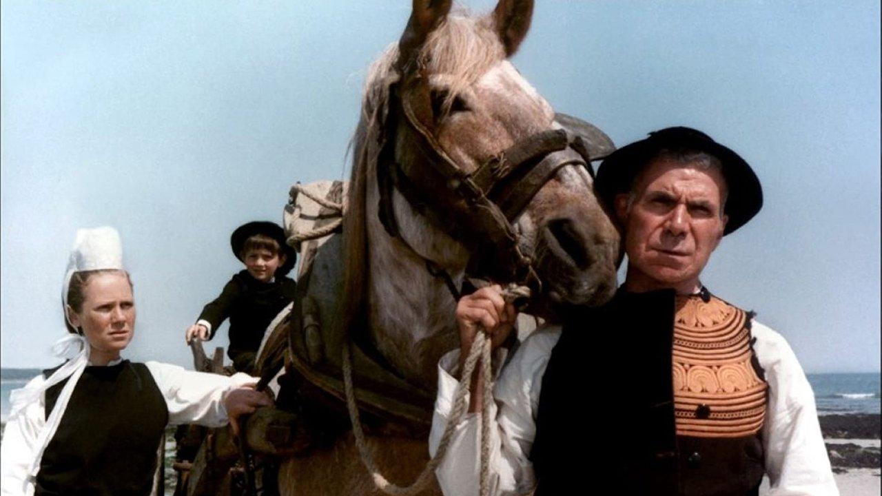The Horse of Pride 1980 movie scene