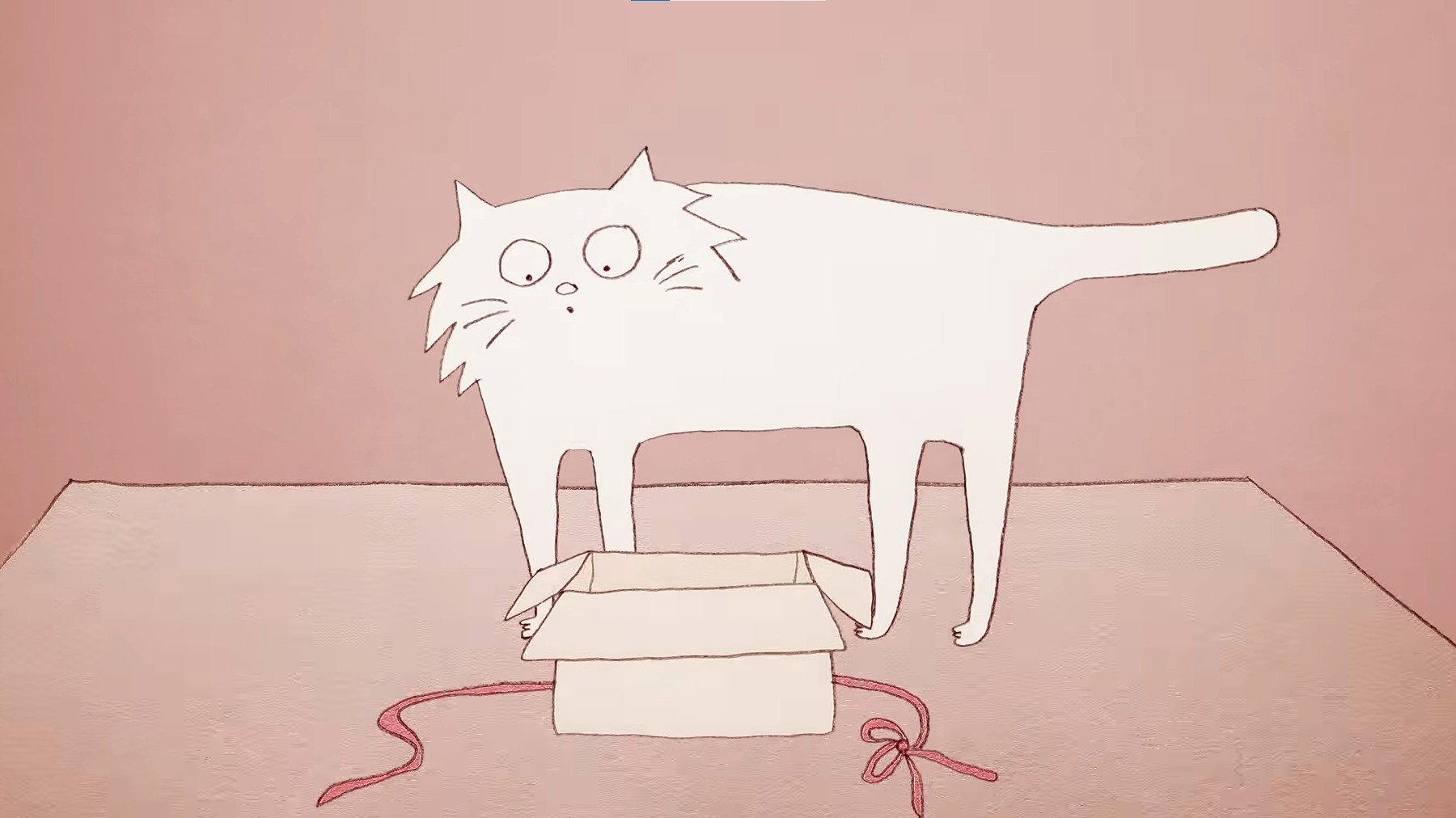 Why Do Cats Act So Weird? 2016 movie scene