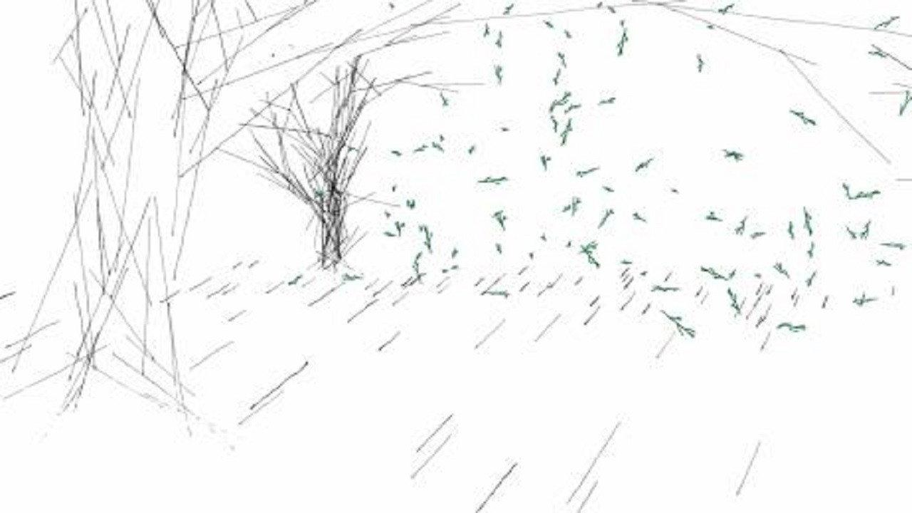 The Train, The Forest 2017 movie scene