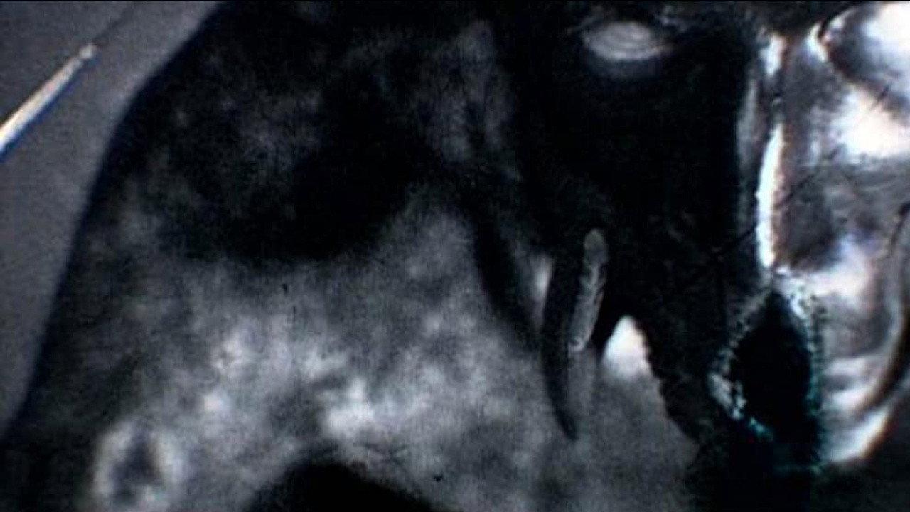 Kanashibara 2007 movie scene