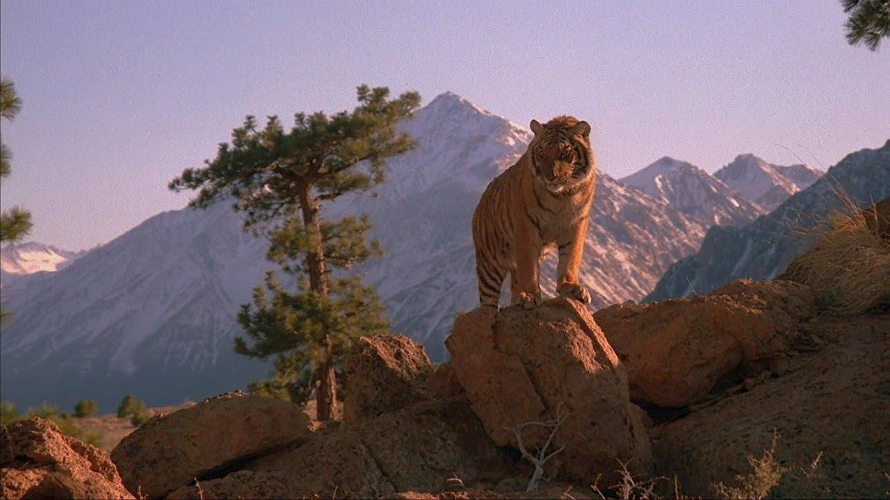 Speed 1984 movie scene