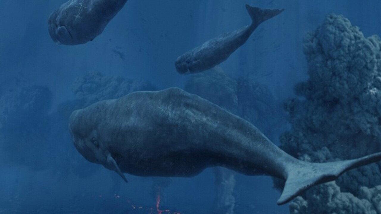 Tim Haines Deep Ocean 2006 movie scene