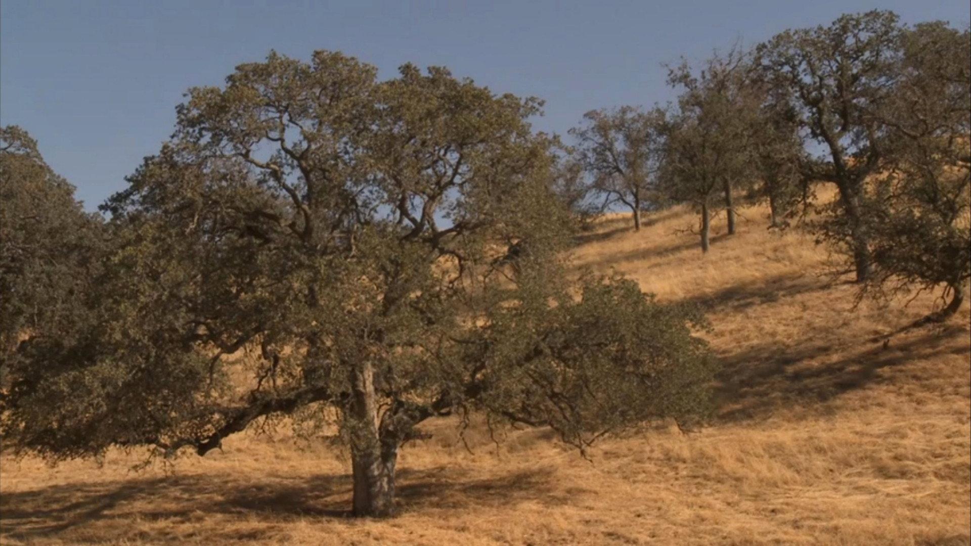 Fall Equinox 2016 movie scene