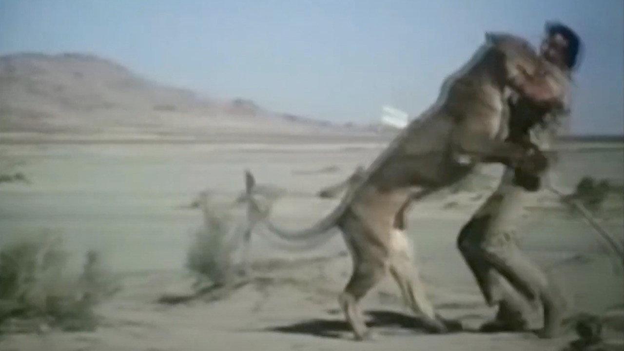Escape from Angola 1976 movie scene