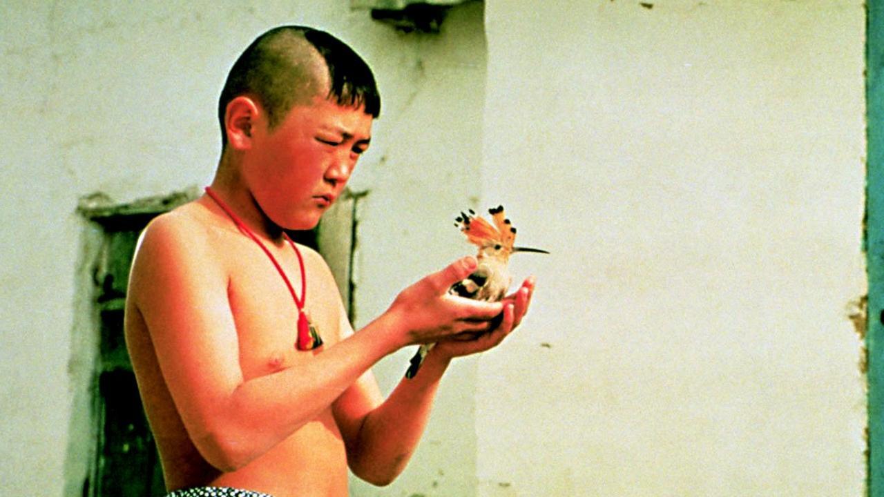 The Adopted Son 1999 movie scene