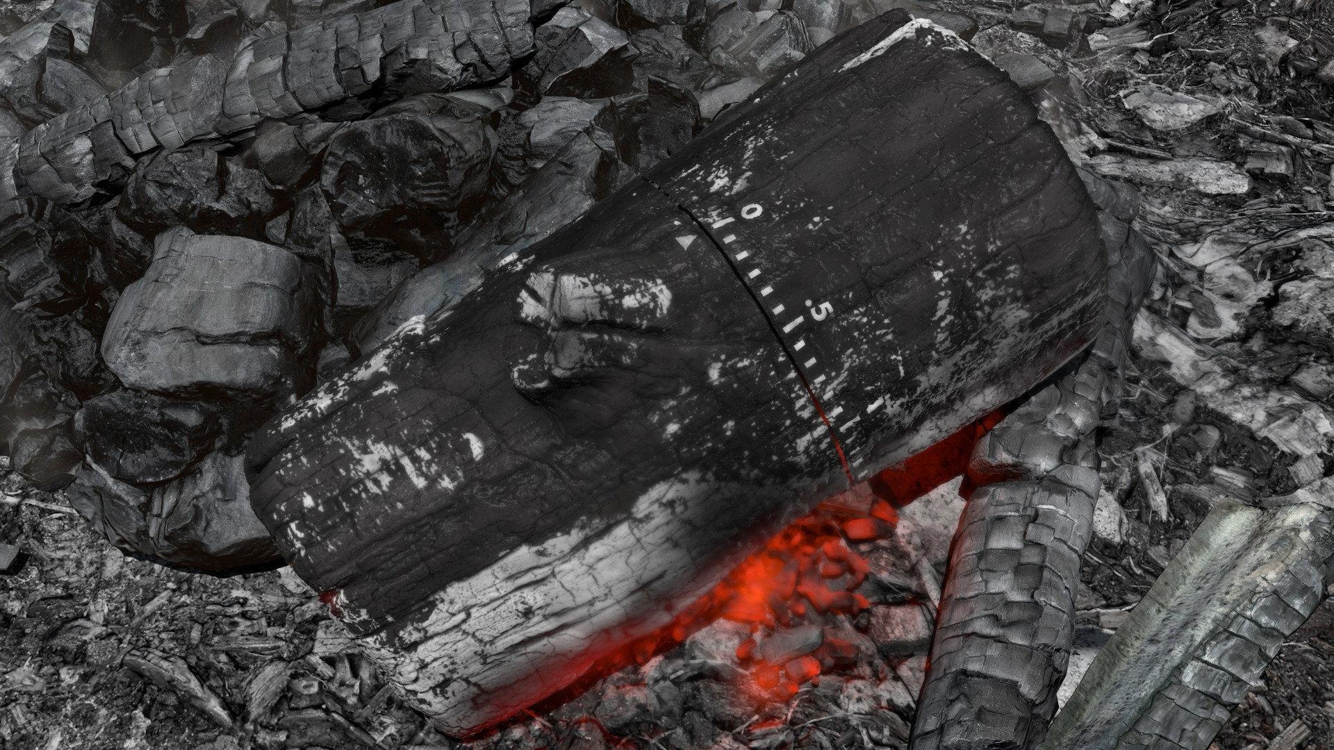 Gonna Get Along Without You Now (Burning Log) 2021 movie scene
