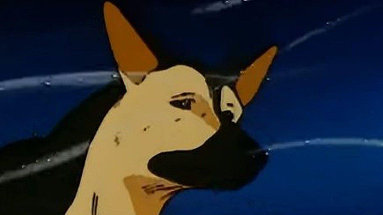 Call of the Wild: Howl, Buck 1981 movie scene