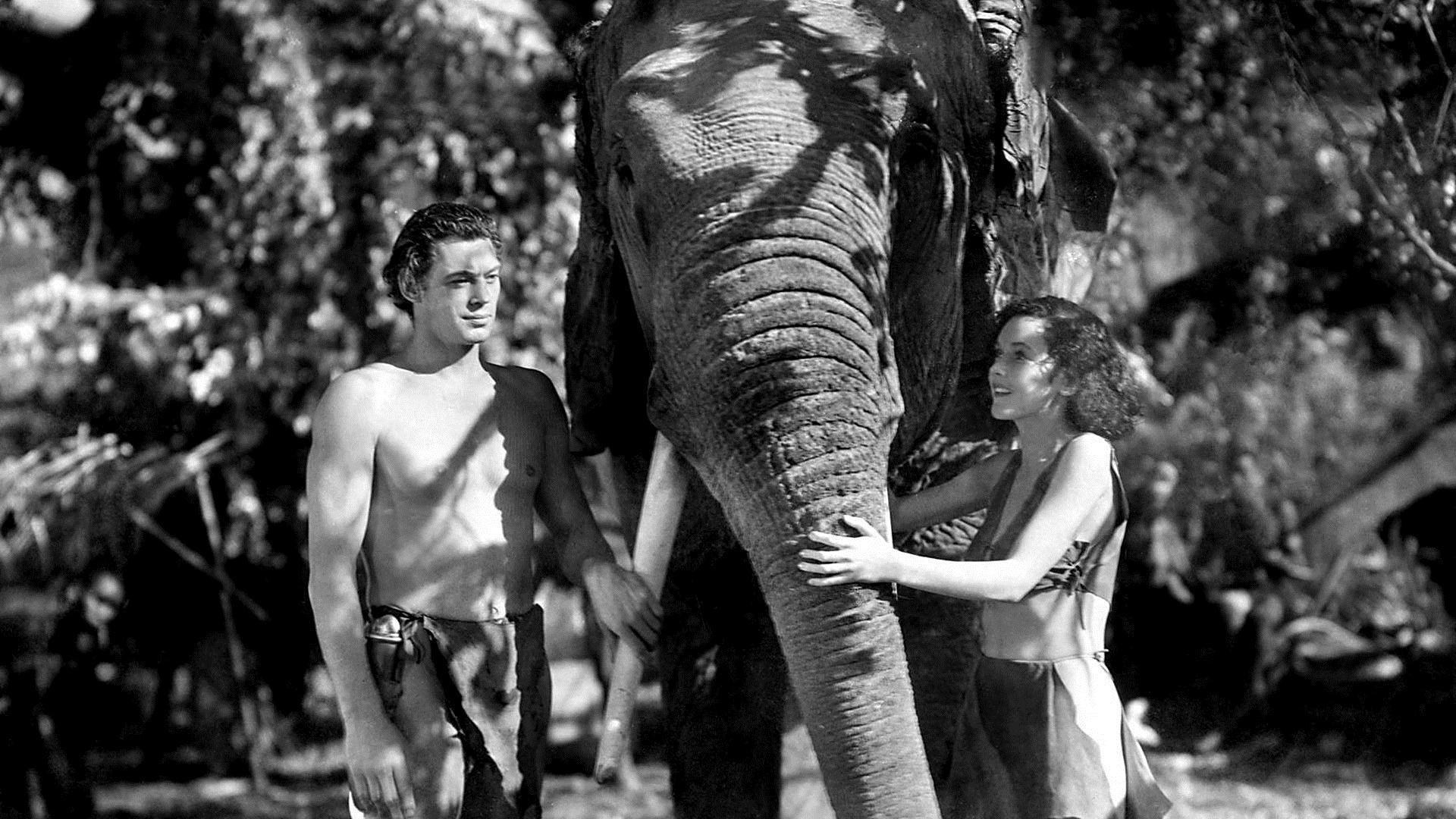 Tarzan and His Mate 1934 movie scene