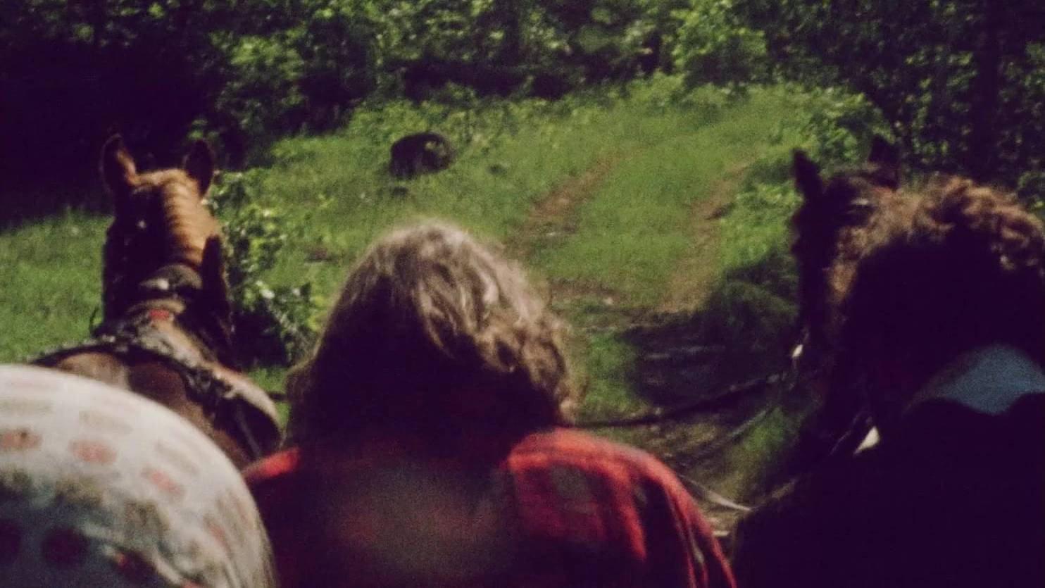 Everything Everywhere Again Alive 1975 movie scene