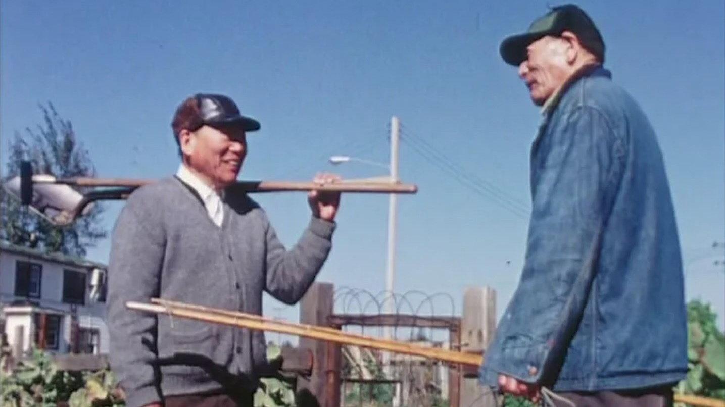 One Day in Locke 1971 movie scene