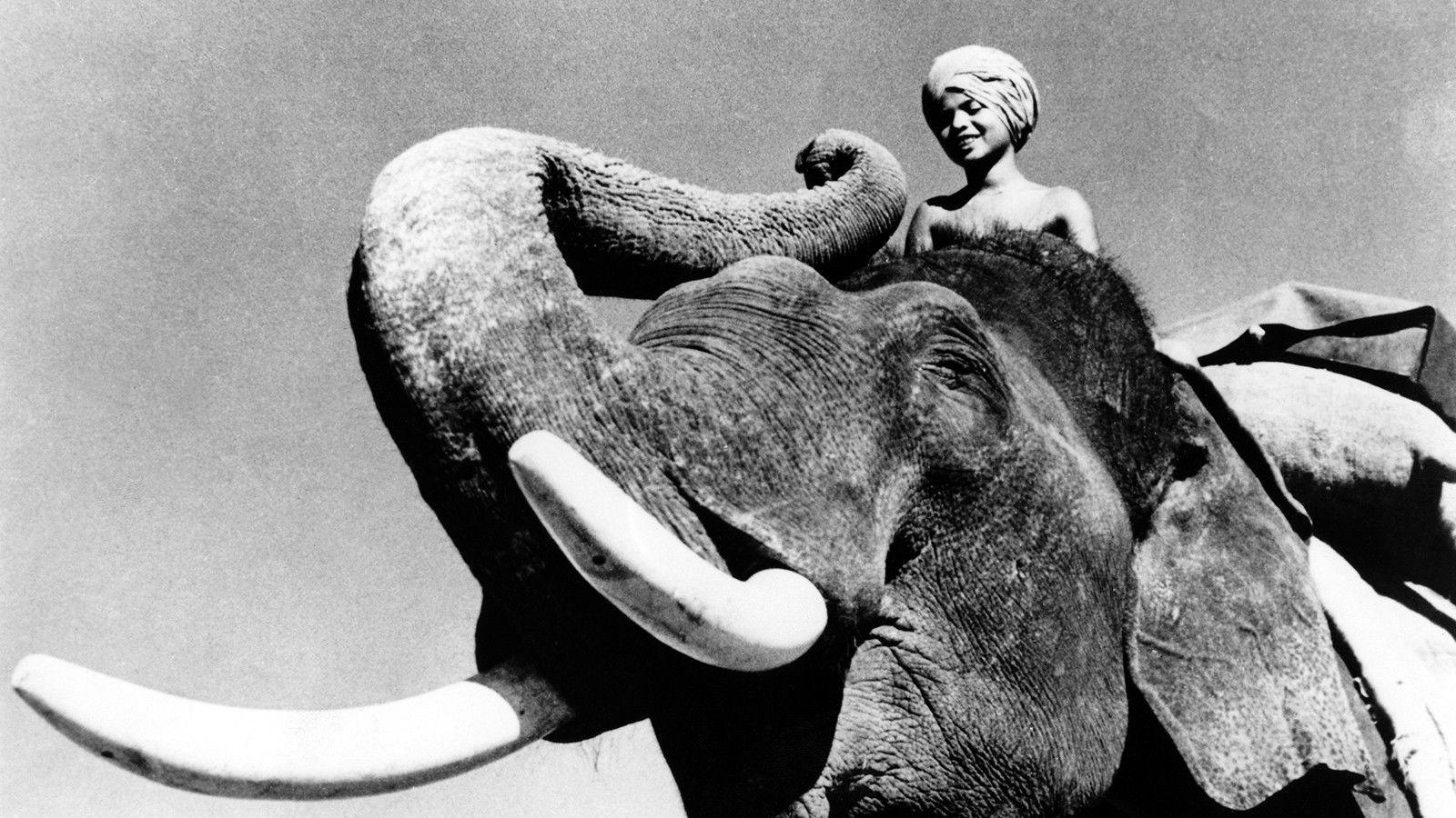Elephant Boy 1937 movie scene