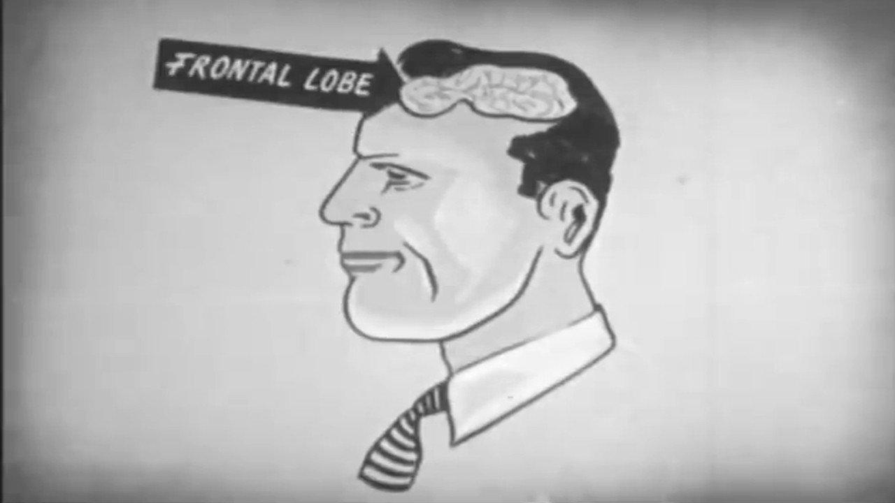 Alcohol Is Dynamite 1958 movie scene