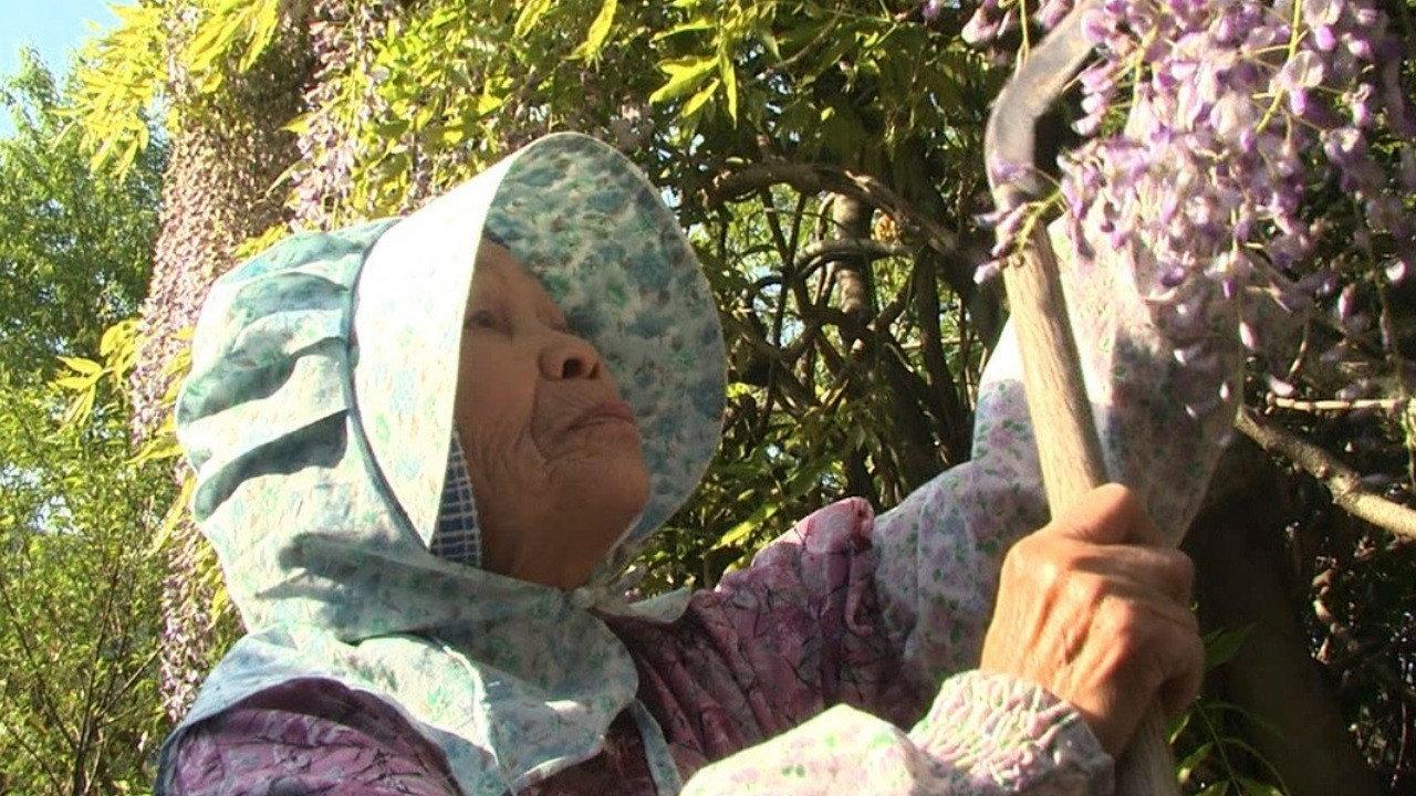Grandma's Eternal Forest 2013 movie scene