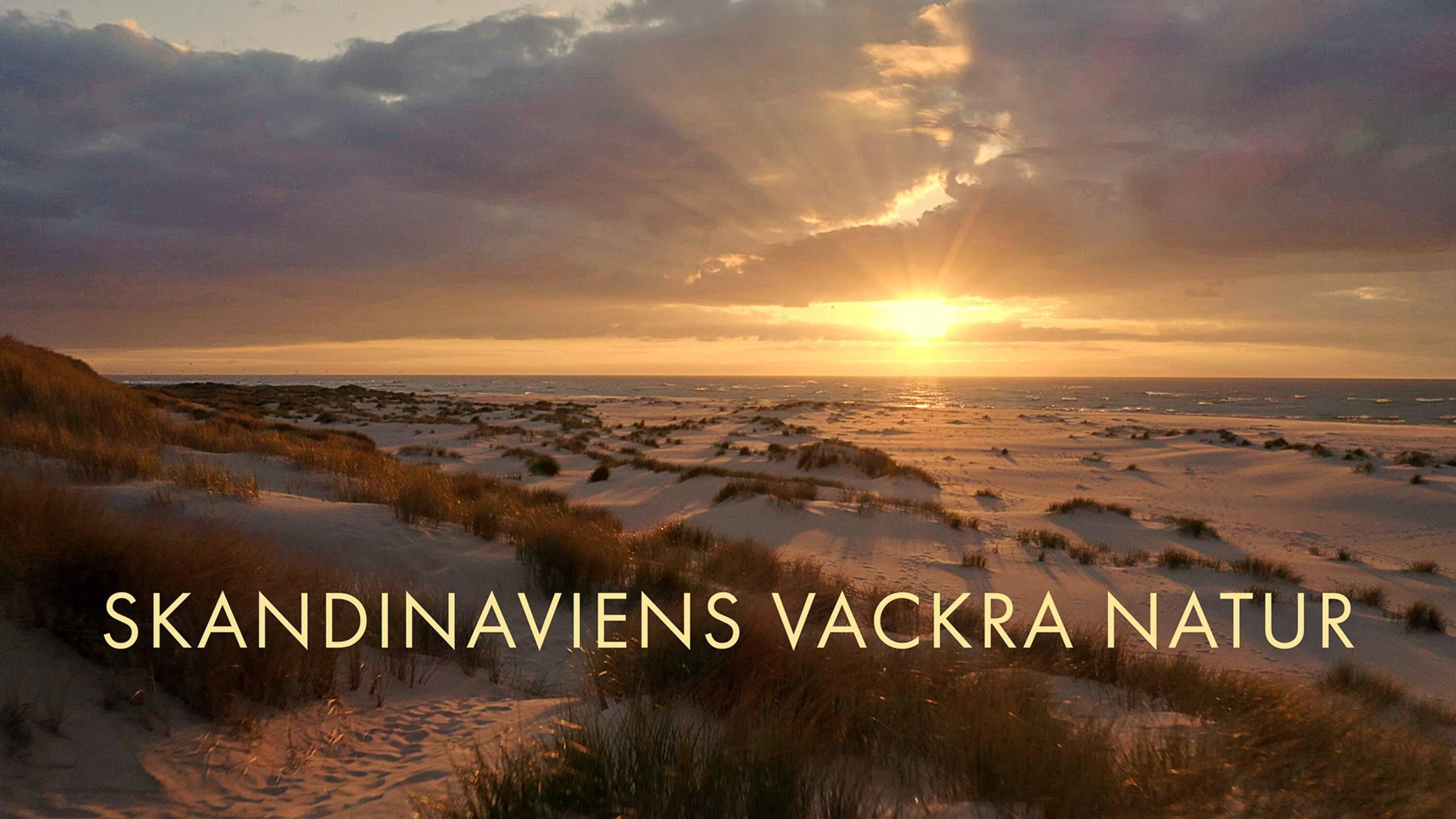Scandinavia's Hidden Paradises 2019 movie scene