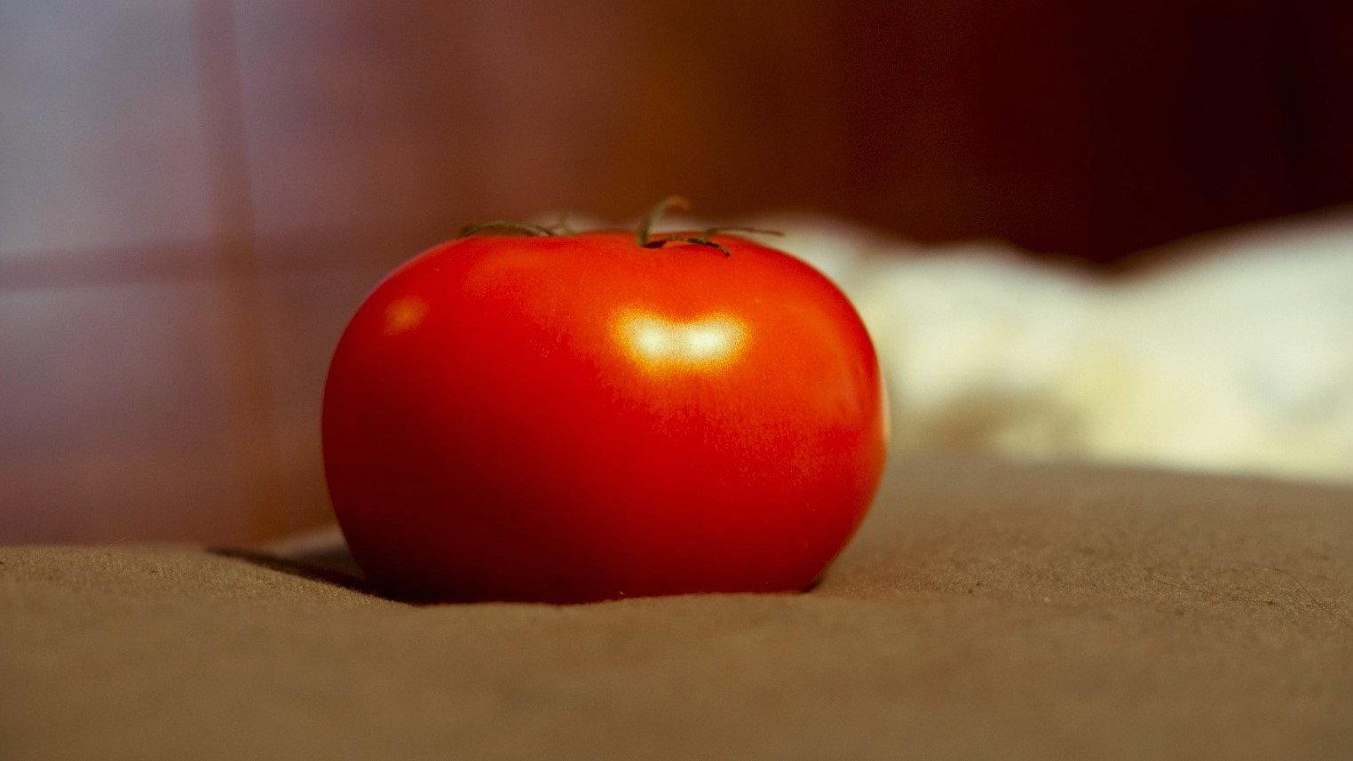It's rolling like a tomato 2024 movie scene