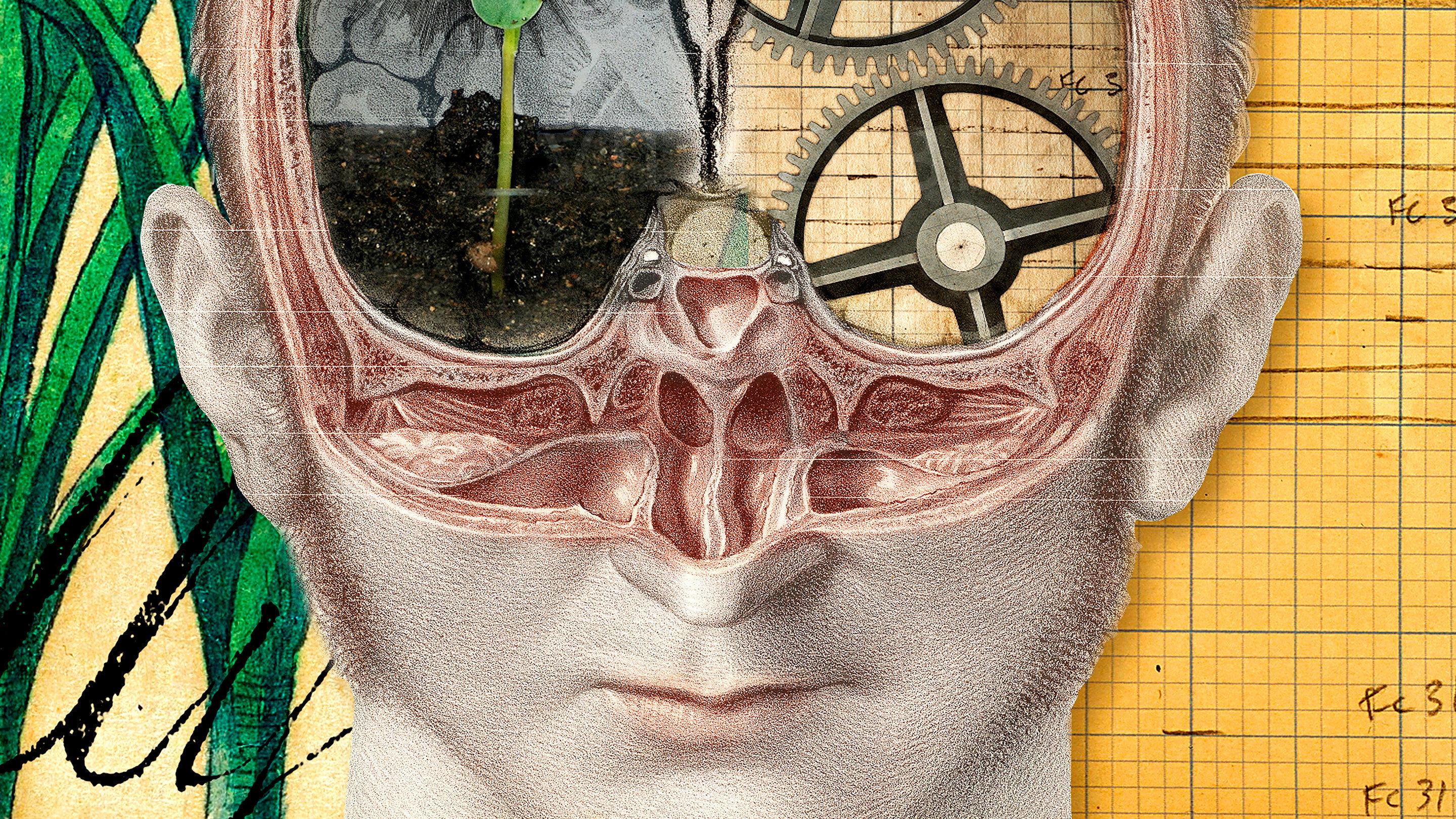 The Divided Brain 2019 movie scene